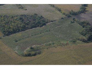 Property photo 15 - 955 Acres Offered in 12 Tracts