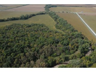 Property photo 65 - 955 Acres Offered in 12 Tracts