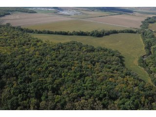 Property photo 37 - 955 Acres Offered in 12 Tracts