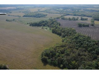 Property photo 24 - 955 Acres Offered in 12 Tracts