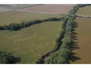Property photo 75 - 955 Acres Offered in 12 Tracts
