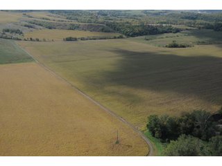 Property photo 31 - 955 Acres Offered in 12 Tracts