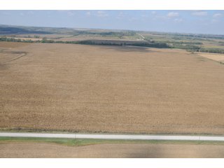 Property photo 64 - 955 Acres Offered in 12 Tracts