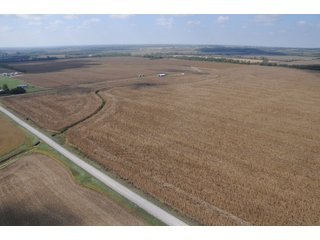 Property photo 17 - 955 Acres Offered in 12 Tracts