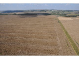 Property photo 70 - 955 Acres Offered in 12 Tracts