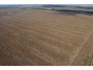 Property photo 43 - 955 Acres Offered in 12 Tracts