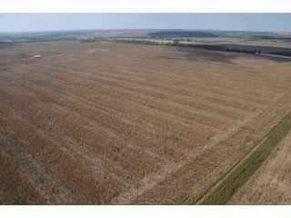 Property photo 74 - 955 Acres Offered in 12 Tracts