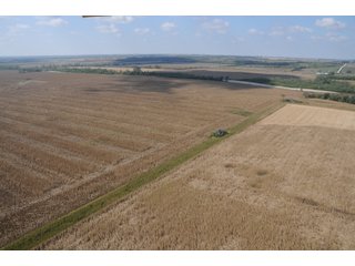 Property photo 69 - 955 Acres Offered in 12 Tracts