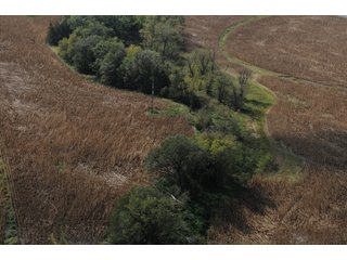 Property photo 78 - 955 Acres Offered in 12 Tracts