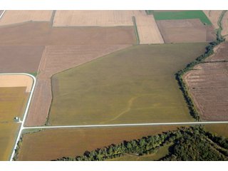 Property photo 25 - 955 Acres Offered in 12 Tracts