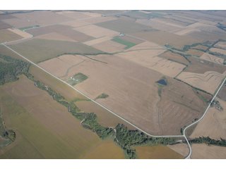 Property photo 33 - 955 Acres Offered in 12 Tracts