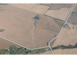 Property photo 21 - 955 Acres Offered in 12 Tracts