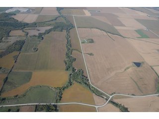 Property photo 4 - 955 Acres Offered in 12 Tracts