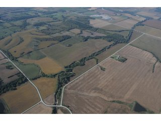 Property photo 6 - 955 Acres Offered in 12 Tracts
