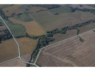 Property photo 79 - 955 Acres Offered in 12 Tracts