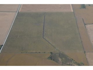 Property photo 26 - 955 Acres Offered in 12 Tracts