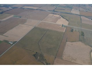 Property photo 66 - 955 Acres Offered in 12 Tracts