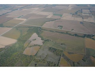 Property photo 38 - 955 Acres Offered in 12 Tracts