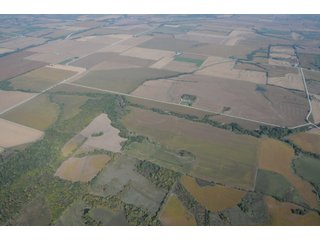 Property photo 14 - 955 Acres Offered in 12 Tracts