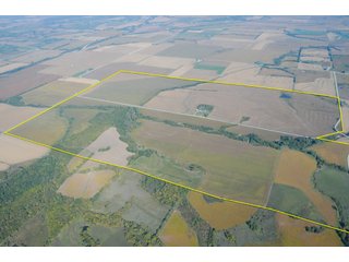 Property photo 77 - 955 Acres Offered in 12 Tracts