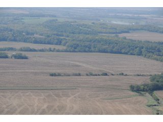 Property photo 27 - 955 Acres Offered in 12 Tracts