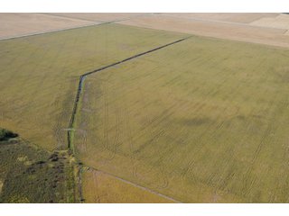 Property photo 82 - 955 Acres Offered in 12 Tracts