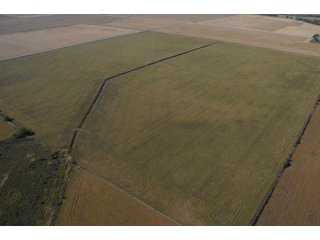 Property photo 23 - 955 Acres Offered in 12 Tracts