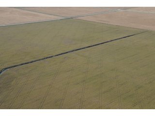 Property photo 29 - 955 Acres Offered in 12 Tracts
