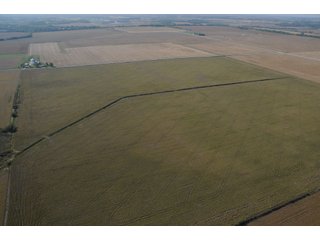 Property photo 68 - 955 Acres Offered in 12 Tracts