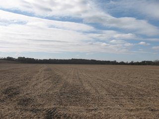 Property photo 62 - 955 Acres Offered in 12 Tracts