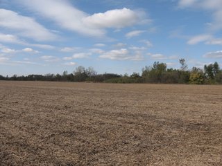 Property photo 50 - 955 Acres Offered in 12 Tracts