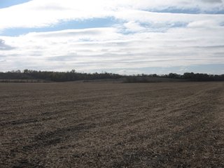 Property photo 54 - 955 Acres Offered in 12 Tracts