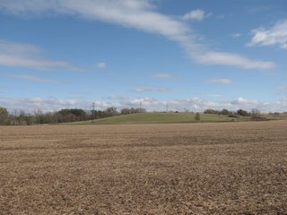 Property photo 52 - 955 Acres Offered in 12 Tracts