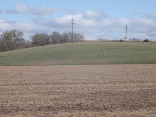 Property photo 58 - 955 Acres Offered in 12 Tracts