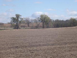 Property photo 57 - 955 Acres Offered in 12 Tracts