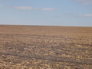 Property photo 63 - 955 Acres Offered in 12 Tracts