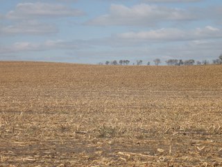 Property photo 60 - 955 Acres Offered in 12 Tracts