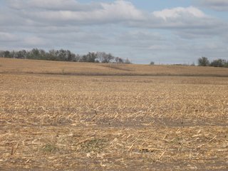 Property photo 55 - 955 Acres Offered in 12 Tracts