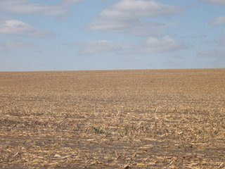 Property photo 83 - 955 Acres Offered in 12 Tracts