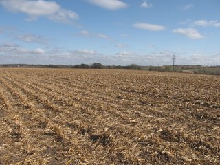 Property photo 61 - 955 Acres Offered in 12 Tracts