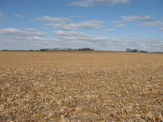 Property photo 51 - 955 Acres Offered in 12 Tracts