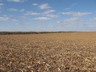 Property photo 49 - 955 Acres Offered in 12 Tracts