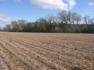 Property photo 56 - 955 Acres Offered in 12 Tracts