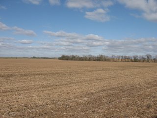 Property photo 53 - 955 Acres Offered in 12 Tracts