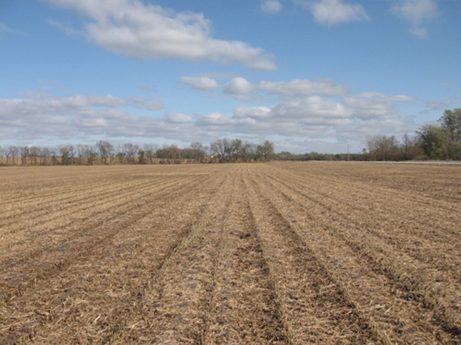 955 Acres Offered in 12 Tracts