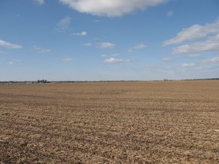 Property photo 48 - 955 Acres Offered in 12 Tracts