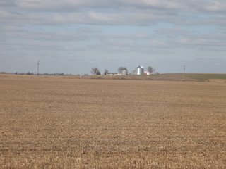 Property photo 47 - 955 Acres Offered in 12 Tracts