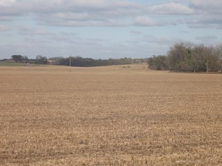 Property photo 59 - 955 Acres Offered in 12 Tracts