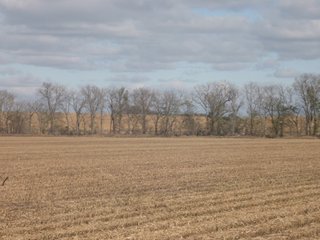 Property photo 46 - 955 Acres Offered in 12 Tracts