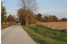 Property photo 20 - 99+/- Acres Offered in 3 Tracts
